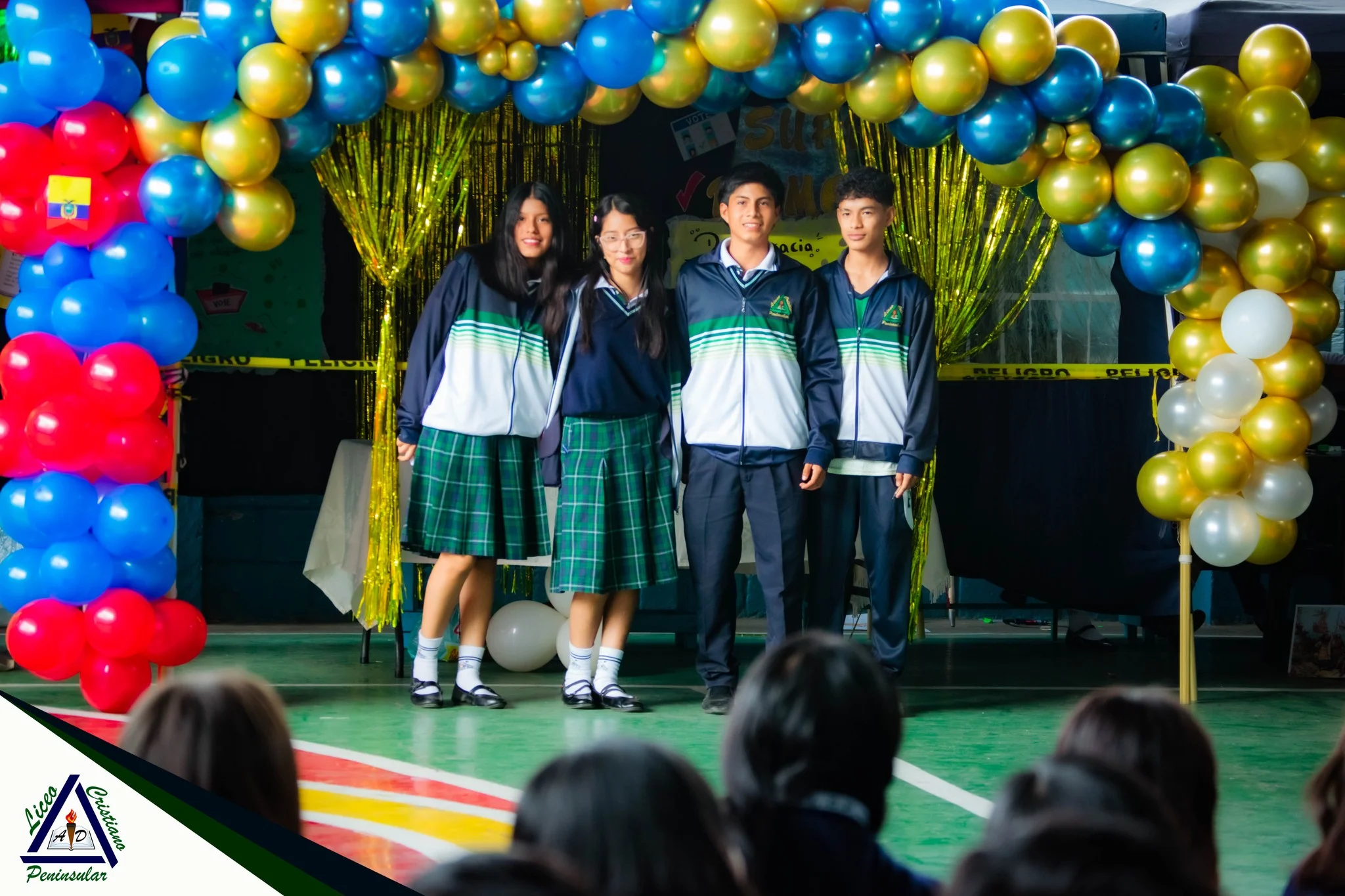 Descripción de la actividad