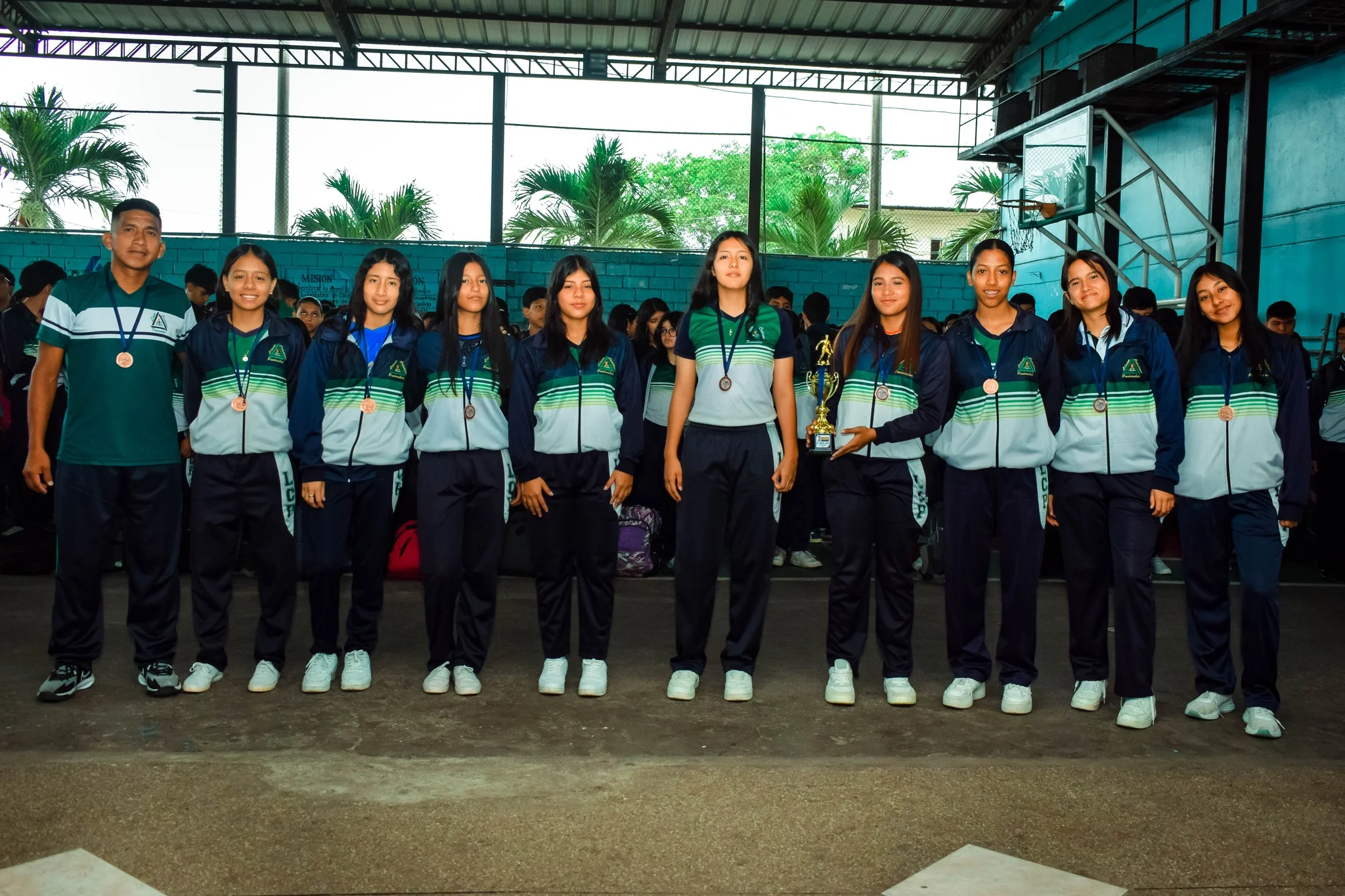 Descripción de la actividad