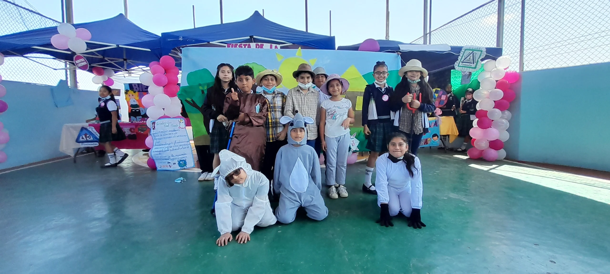 Descripción de la actividad